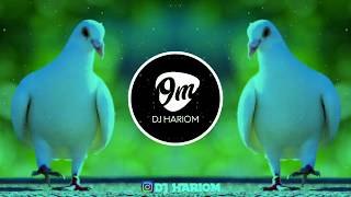 KABUTAR JA JA  DJ VRV  DJ HARIOM [upl. by Cookie]