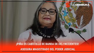 ¡PIÑA ES CABECILLA DE BANDA DE DΕL1NCƱΕNTΕS Asegura magistrado del PoderJudicial [upl. by Nalliuq267]