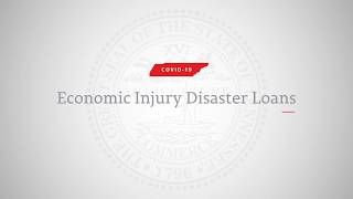 How to apply for an SBA COVID19 Economic Industry Disaster Loan  Updated June 2020 [upl. by Cochrane953]