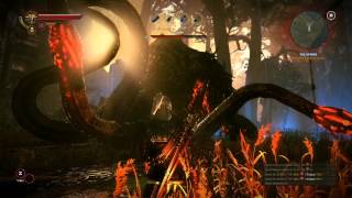 How to Win the Kayran Boss Fight  The Witcher 2 Tutorial HD 1080p [upl. by Chun]