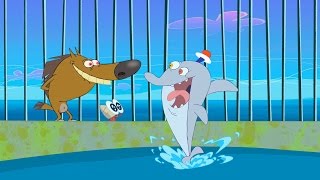 Zig amp Sharko  Waterski Hit S01E13  Full Episode in HD [upl. by Buehrer]