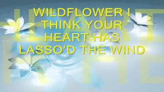 WILDFLOWER I think your heart has lassod the wind [upl. by Quintessa]