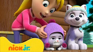 Kätzchen und Haustierrettungen mit Everest Chase und co  Nick Jr Deutschland [upl. by Edijabab]