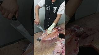 No boning of salmon with a new method [upl. by Leizahaj87]