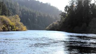 Russian River at Villa Grande Steelhead Season Begins [upl. by Silda965]