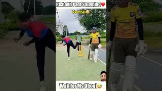 Rishabh pant vs Other s batsman vs MS Dhoni cricket [upl. by Heffron553]