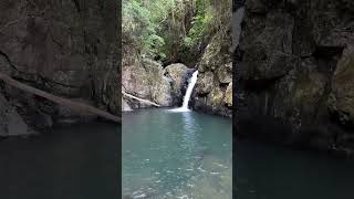 Waterfall swimming hole oasis waterfall nature explorer [upl. by Margeaux956]