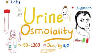 Urine Osmolality Osmolarity amp Urine Osmolar Gap  ADH  Labs 🧪  Clinical Pathology amp Pathophys [upl. by Allehcram583]