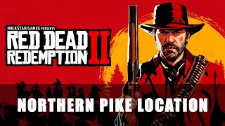 Red Dead Redemption 2 Northern Pike Location [upl. by Rosena]