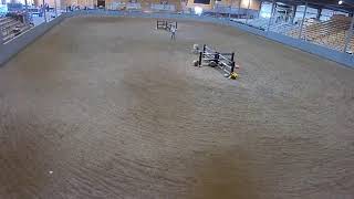 Topeka Livestock Auction Live Stream [upl. by Zephaniah]