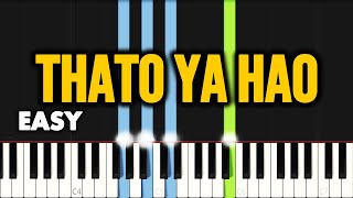 Lebo Sekgobela  Thato Ya Hao  EASY PIANO TUTORIAL by SAPiano [upl. by Raskind91]