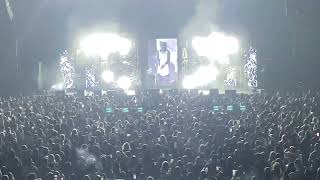 Lil Wayne “We Be Steady Mobbin” LIVE [upl. by Tatiana]