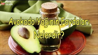 Avokado Yağının Faydaları Nelerdir [upl. by Emelyne26]