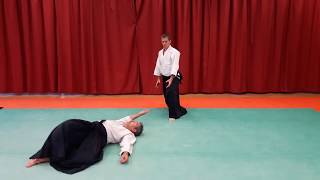 Tachi waza Yokomen uchi Kokyu nage [upl. by Digirb941]