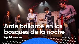 quotArde brillante en los bosques de la nochequot en Otra trama [upl. by Yv]