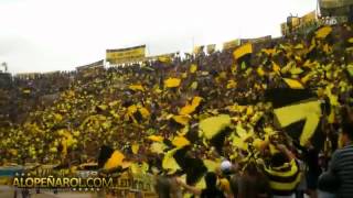 Barra Amsterdam  Peñarol  Uruguay Tema Jurabas tu  Los del Fuego [upl. by Monarski]