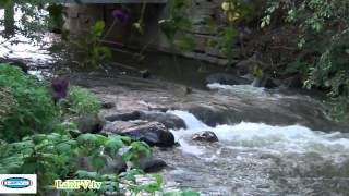 Relaxation  ZEN 10  eau qui coule  hypnosis water  LaRPVtv [upl. by Altheta]