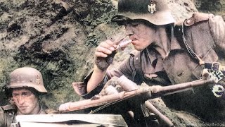 WW2 Waffen SS Intense Combat Footage [upl. by Gratiana]