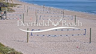 Live  Sport Camera  Deerfield Beach Florida USA [upl. by Lazare]