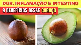 9 Benefícios do CAROÇO DE ABACATE Dor Inflamação Intestino e mais  Receitas e Como Usar [upl. by Ariew552]