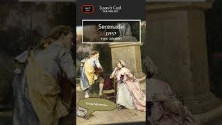 Serenade D957 Franz Schubert Ständchen  ViolinPiano Cover [upl. by Ahseinaj]