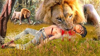 Lion attack buffalo in African forest  lion attack animal  lion attack video stories part32 [upl. by Higley]