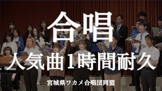 【作業用BGM】合唱人気曲まとめ歌詞付きメドレー1時間耐久定番曲 presented by ワカメ合唱団同盟 （Meet Up Chorus Fesより） [upl. by Ally111]