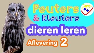 Dierennamen  Eerste Woordjes  Dieren Leren Aflevering 2 Peuters en Kleuters [upl. by Farhi]