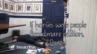 If horses were people  Broodmare edition Part 1 [upl. by Tteltrab]