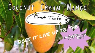 Tasting Coconut Cream Mango Does it Live Up to the Hype [upl. by Ellek]