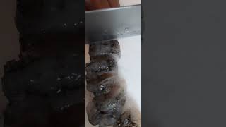 Slicing Australian Wild Sandfish Sea Cucumber seafood shorts [upl. by Nahguav838]