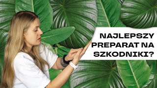 🐛 Antidotum na szkodniki Wasze polecenie [upl. by Lorrie]