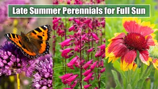 9 Gorgeous Late Summer Perennials for a Sunny Garden Spot  July August September Blooms [upl. by Thordis907]