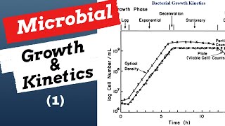 Microbial Growth amp Kinetics1 Explained Bioprocess amp Biochemical Engineering [upl. by Nila]