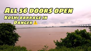 56 Doors Open In Koshi Barrage  Flooding Emergency  Observation [upl. by Meredith]