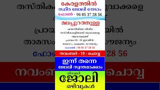 kerala jobs 2024 todays job malayalam jobs November 19 [upl. by Lyndy933]