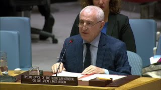 quotThe Great Lakes Region is moving forwardquot  Security Council Briefing [upl. by Aicinod895]