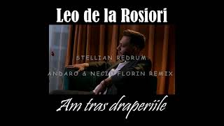 LEO DE LA ROSIORI  AM TRAS DRAPERIILE STELLIAN REDRUM ANDARO amp NECIU FLORIN REMIX [upl. by Mellman]