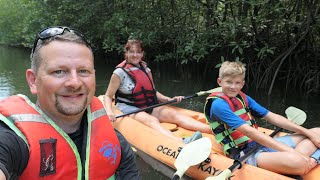 Langkawi Mangrove Kayak Tour [upl. by Aissatsan]