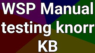 WSP system Knorr bremse manual testing [upl. by Auhs950]