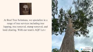 Arborist Wangara  Real Tree Solutions [upl. by Ellatnahc]