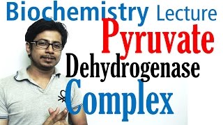 Pyruvate dehydrogenase complex [upl. by Aseela]