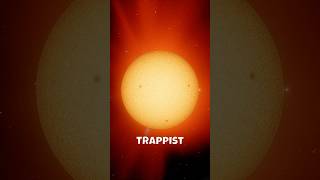 NASA Discovers 7 EarthLike Planets shorts space nasa [upl. by Struve]