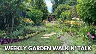 July Garden Tour  Lilies in Pots Potager Garden Edible Groundcovers Hot Color Landscape [upl. by Harneen497]