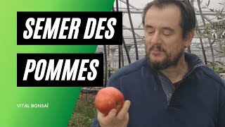 Ma technique INRATABLE pour semer des pommiers [upl. by Russia]