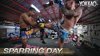 Muay Thai Sparring  Liam Harrison Vs Superlek  YOKKAO Training Center [upl. by Nylazor410]