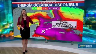 Area en el Caribe tiene un 30 de probabilidad de desarrollo tropical  Vigilando Los Tropicos [upl. by Isnam]