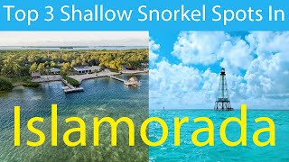 Islamorada Snorkel Guide Our TOP 3 Shallow Reefs in 4 minutes [upl. by Zephaniah]