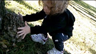 How to find wild Maitake mushrooms Hen of the Woods [upl. by Landri]