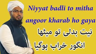 Niyyat badli to mitha angoor kharab ho gaya by zaheer quadri abululai sahab Kamil ul hadees jamia [upl. by Mor738]